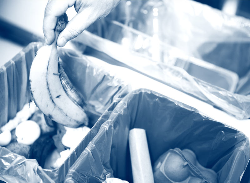 food waste